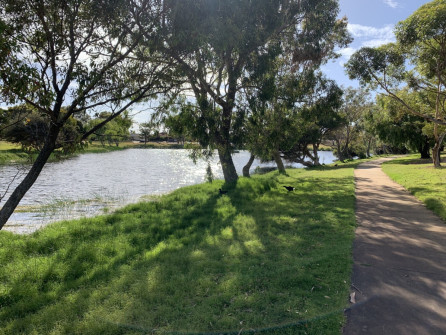 Perth_0886