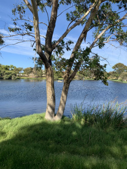 Perth_0889