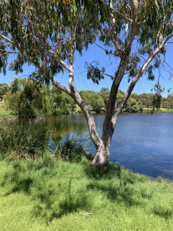 Perth_0898