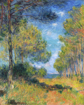 Claude Monet, An Avenue of Fir Trees Varengeville, 1882