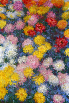 Claude Monet, Bed of Chrysanthemums, 1897