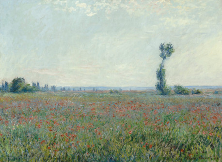 Claude Monet, Champ de Coquelicots, 1881
