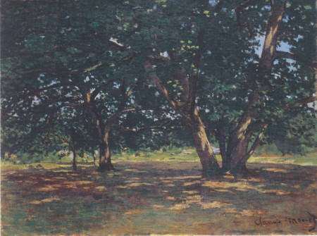 Claude Monet, Fontainebleau Forest, 1865