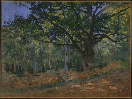 Claude Monet, The Bodmer Oak, Fontainebleau, 1865