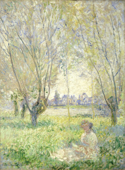 E11686.jpg