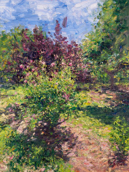 Dan Scott, Perth Gardens, 2023