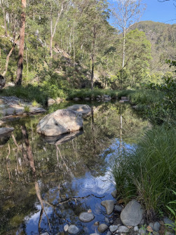 Dan Scott, Mount Barney Hike, 2025 (15)