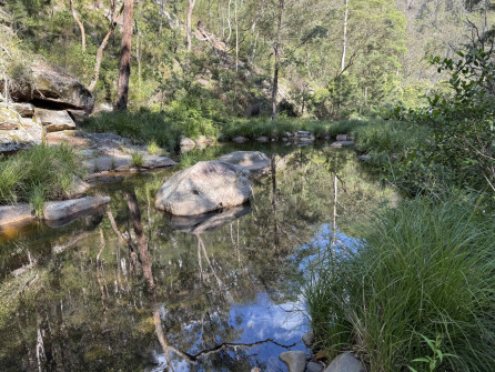 Dan Scott, Mount Barney Hike, 2025 (18)