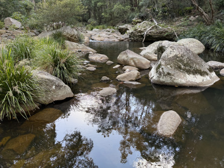 Dan Scott, Mount Barney Hike, 2025 (25)