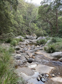 Dan Scott, Mount Barney Hike, 2025 (28)
