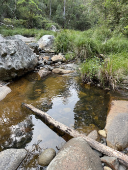 Dan Scott, Mount Barney Hike, 2025 (29)