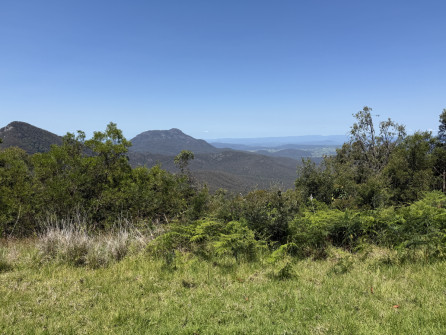 Dan Scott, Mount Barney Hike, 2025 (34)
