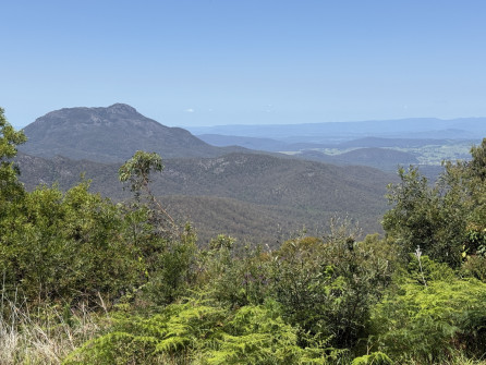 Dan Scott, Mount Barney Hike, 2025 (35)