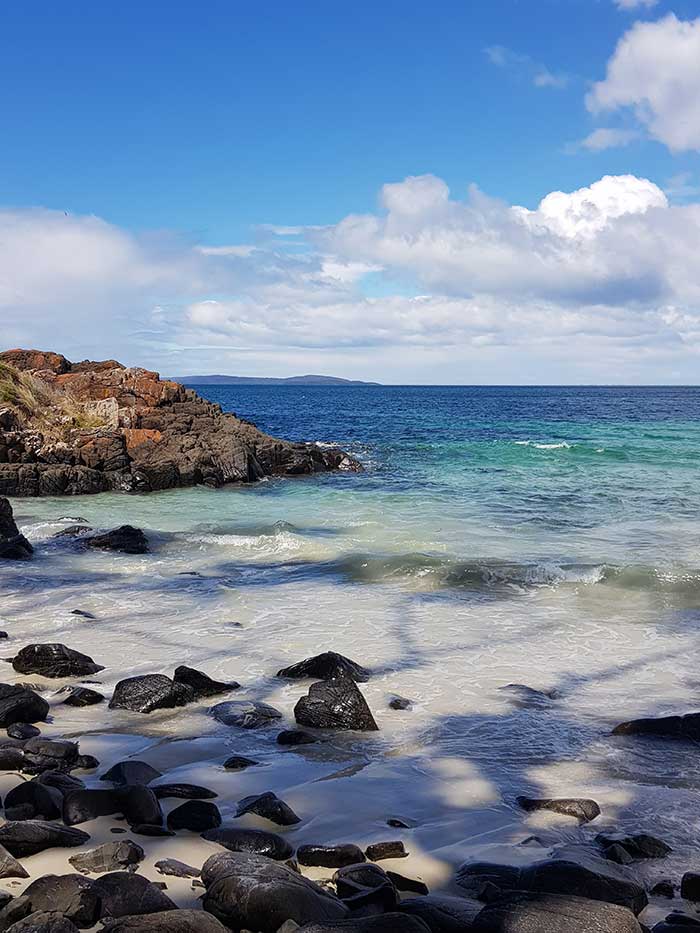 Tasmania Reference Photo - What Makes A Great Reference Photo To Paint