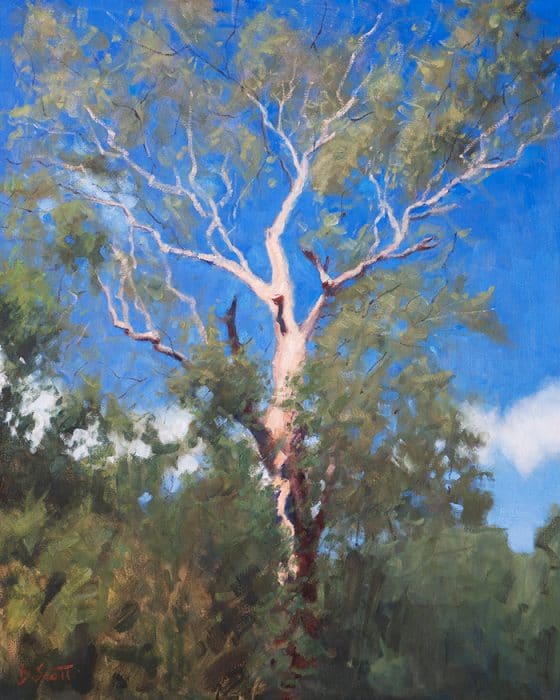 Dan Scott, Tree in Perspective, 2020