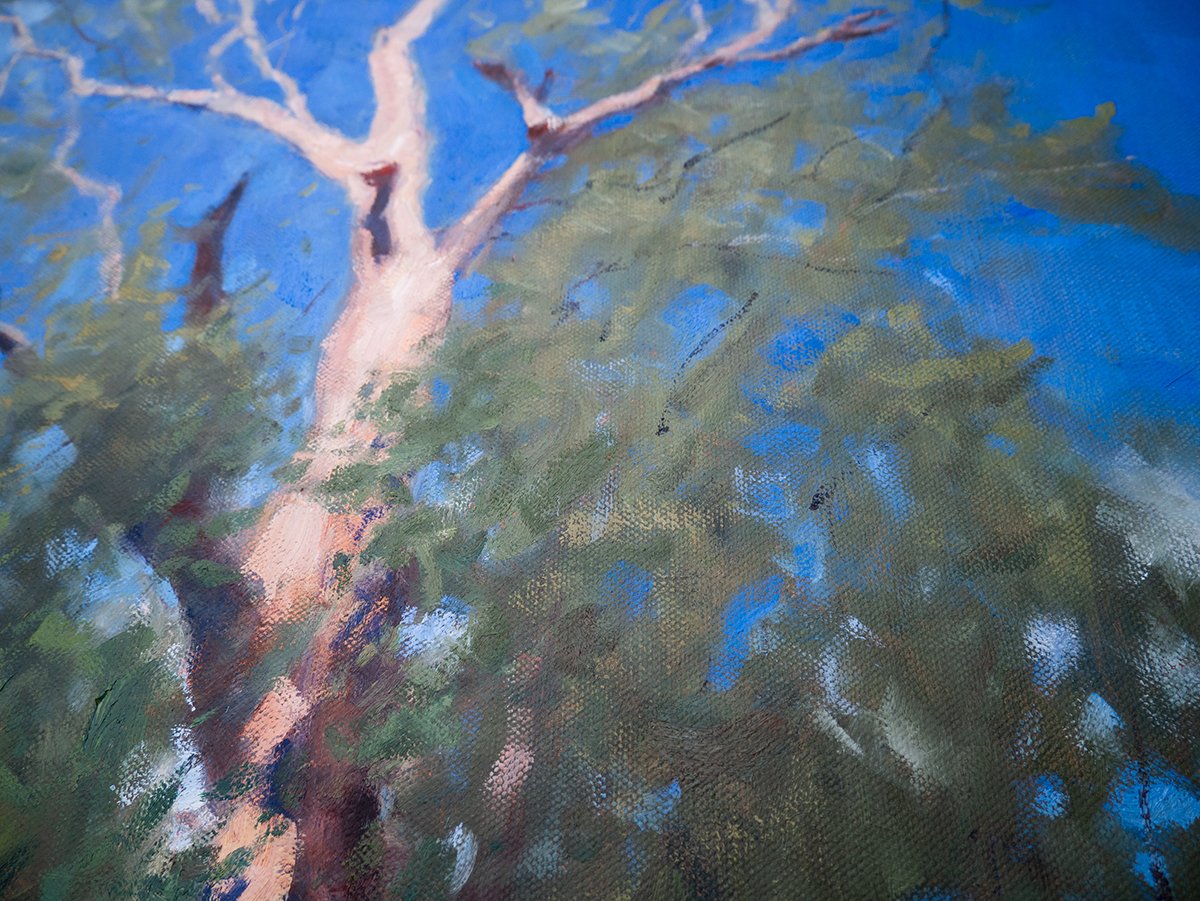 Tree in Perspective - Detail 3