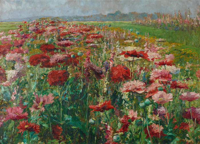 Olga Wisinger-Florian, Blooming Poppy, c.1895