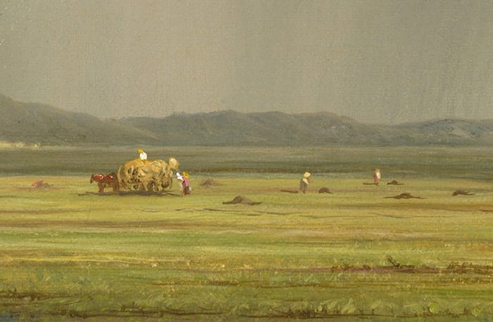 Martin Johnson Heade, Newburyport Meadows, 1876–81, Detail