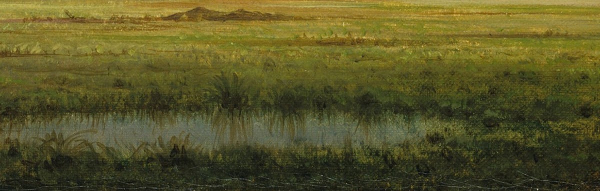 Martin Johnson Heade, Newburyport Meadows, c.1876 1200w closeup2