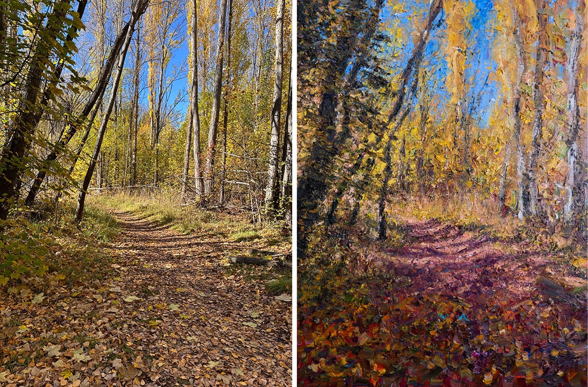 Dan Scott, New Zealand, Autumn Colors, 2024, Side-by-Side With Reference Photo