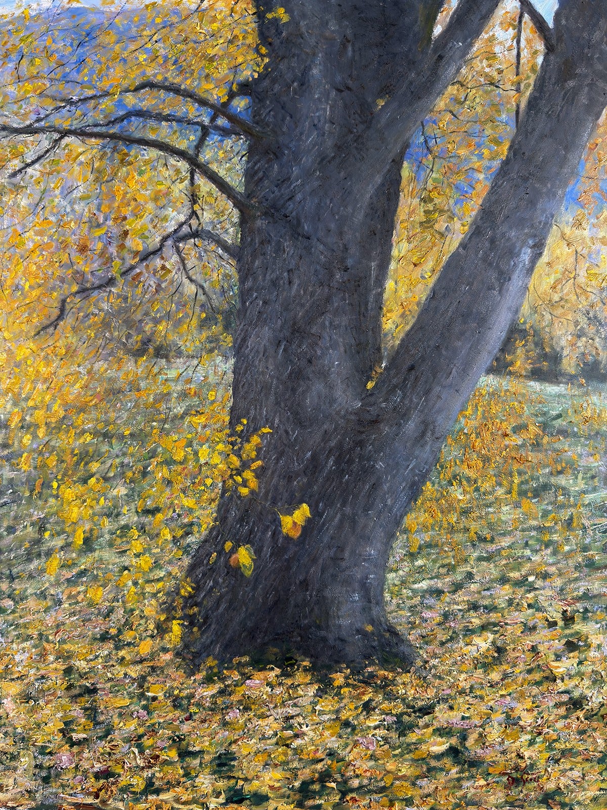 Dan Scott, New Zealand, Autumn Colors, 2026, 1200W