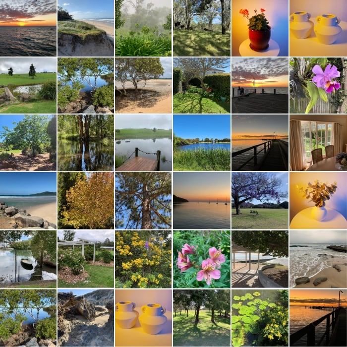 Reference Photo Library Collage