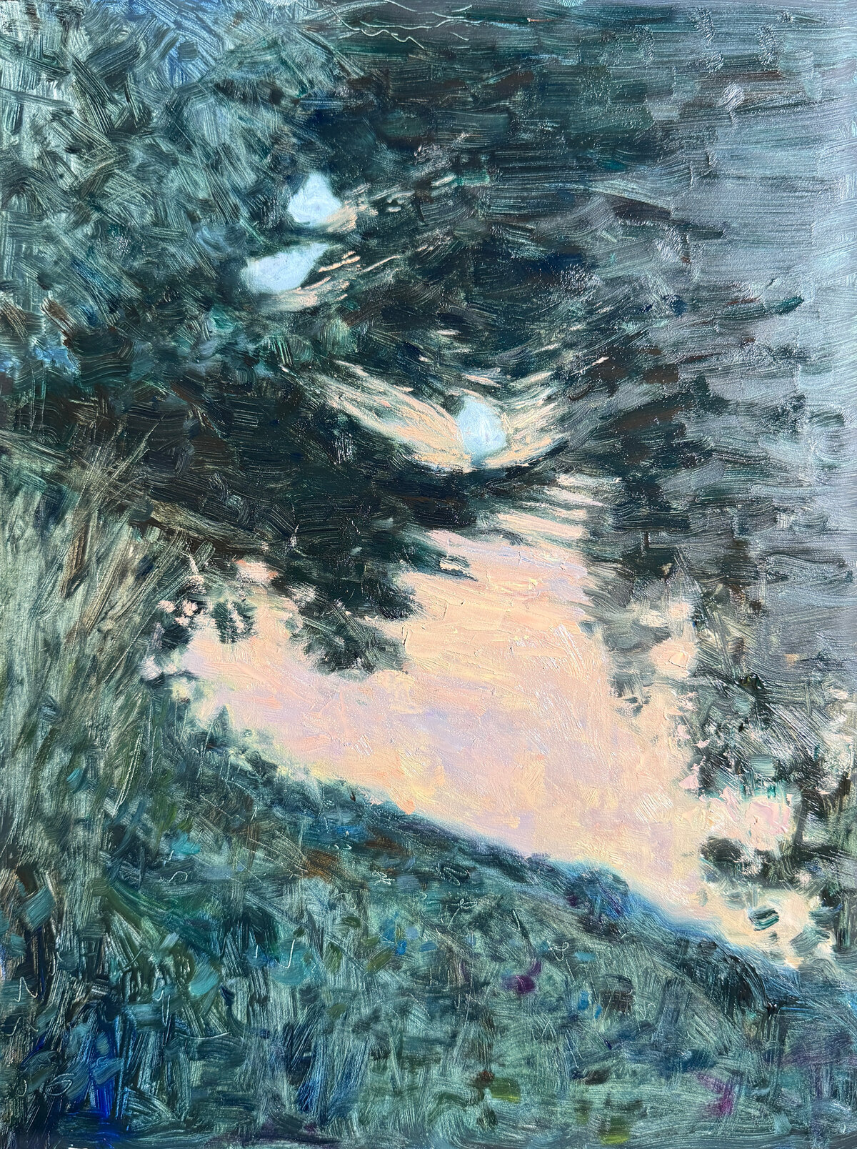 Dan_Scott__Three_Ducks__Twilight_Reflections__2026__4_1200W
