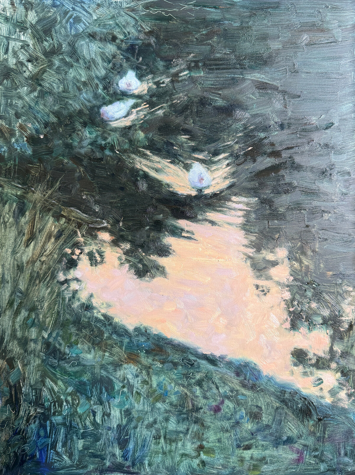 Dan_Scott__Three_Ducks__Twilight_Reflections__2026__5_1200W