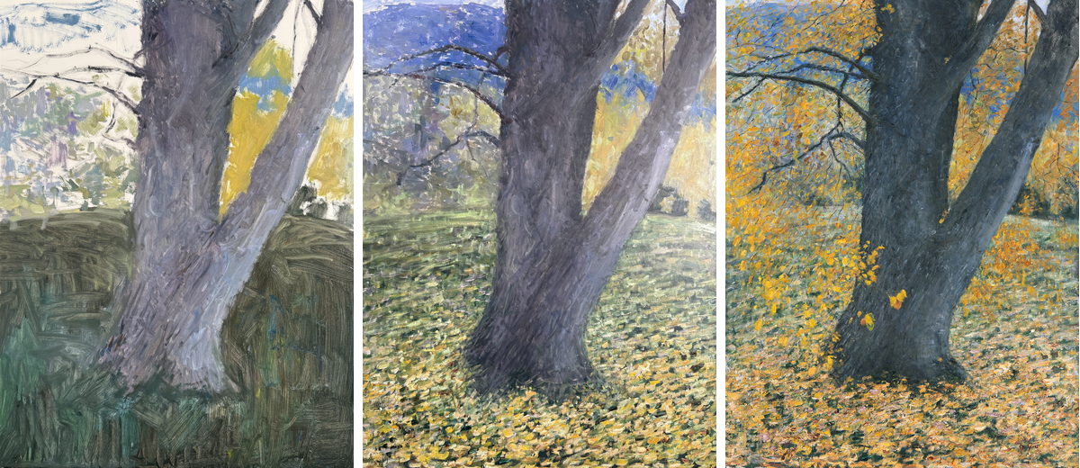Autumn-Colors-Progress