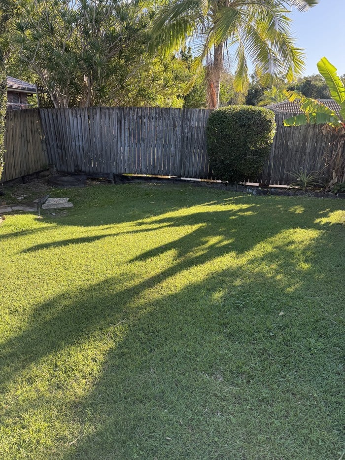 Dan Scott, Grass, Backyard
