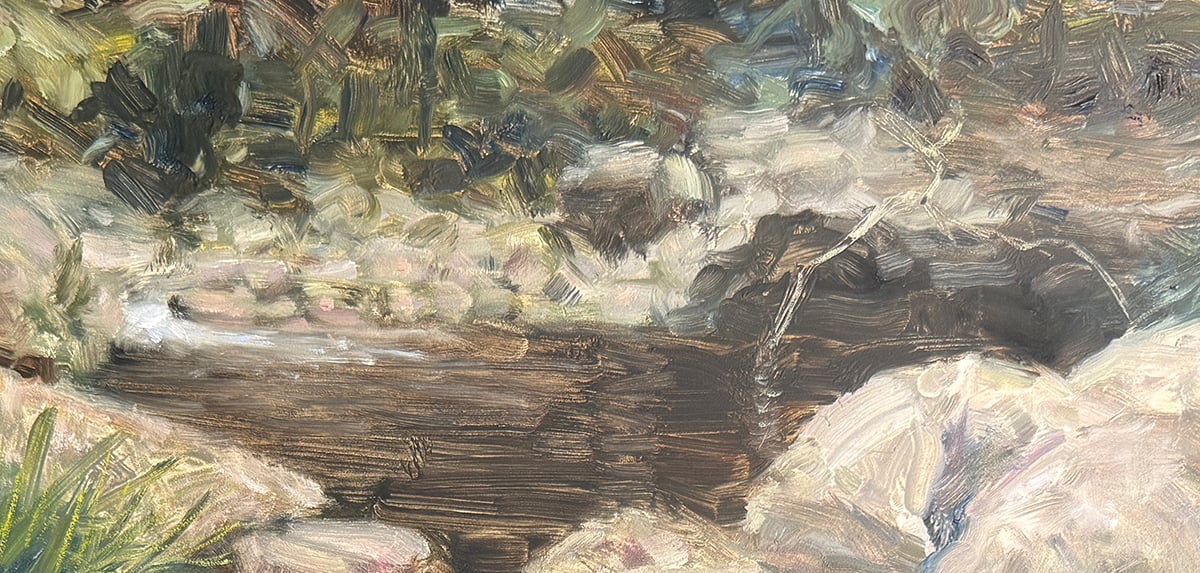 Dan Scott, Upper Portals, Progress Shots (11) Water and Fallen Tree