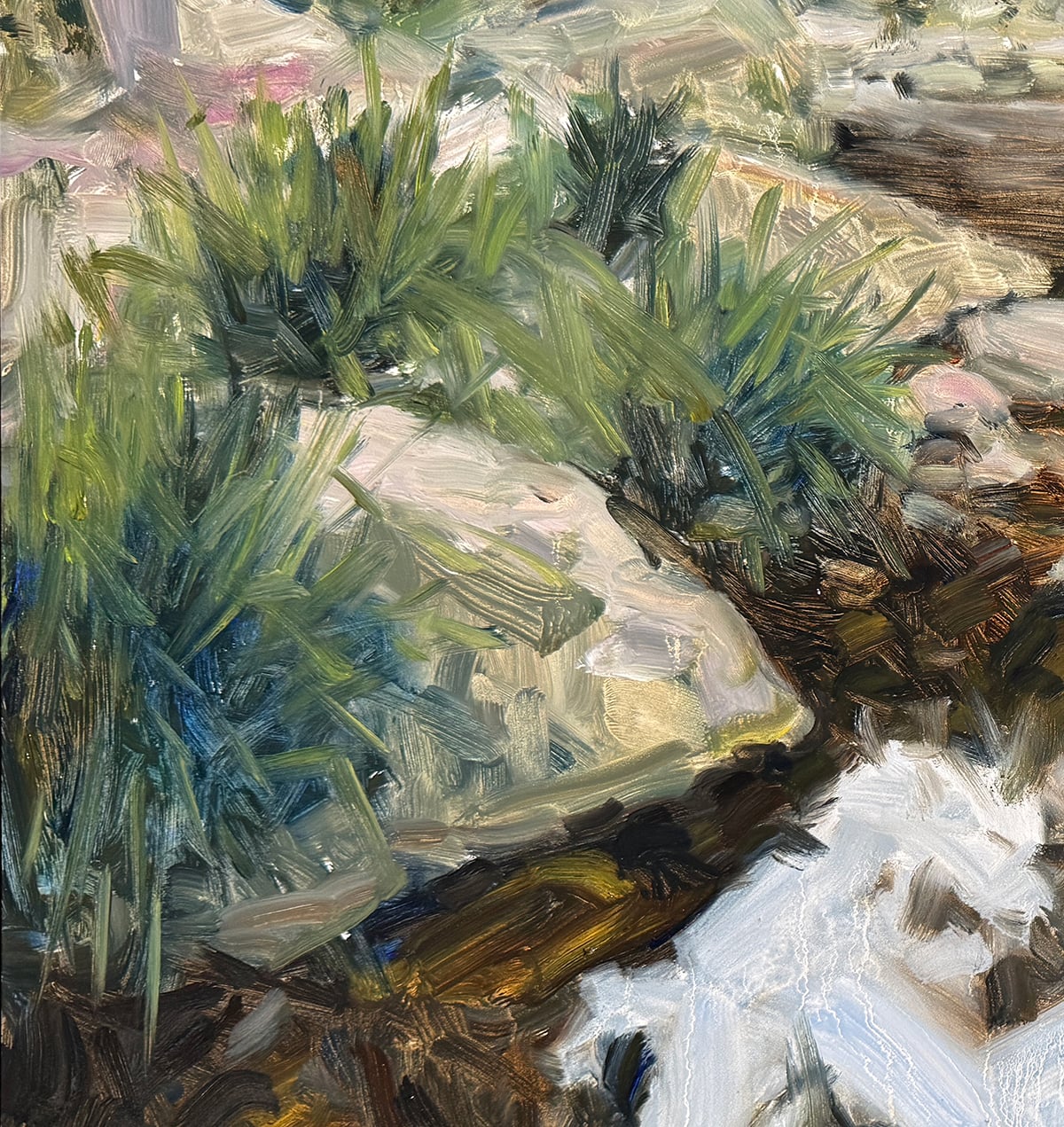 Dan Scott, Upper Portals, Progress Shots (7) Plants