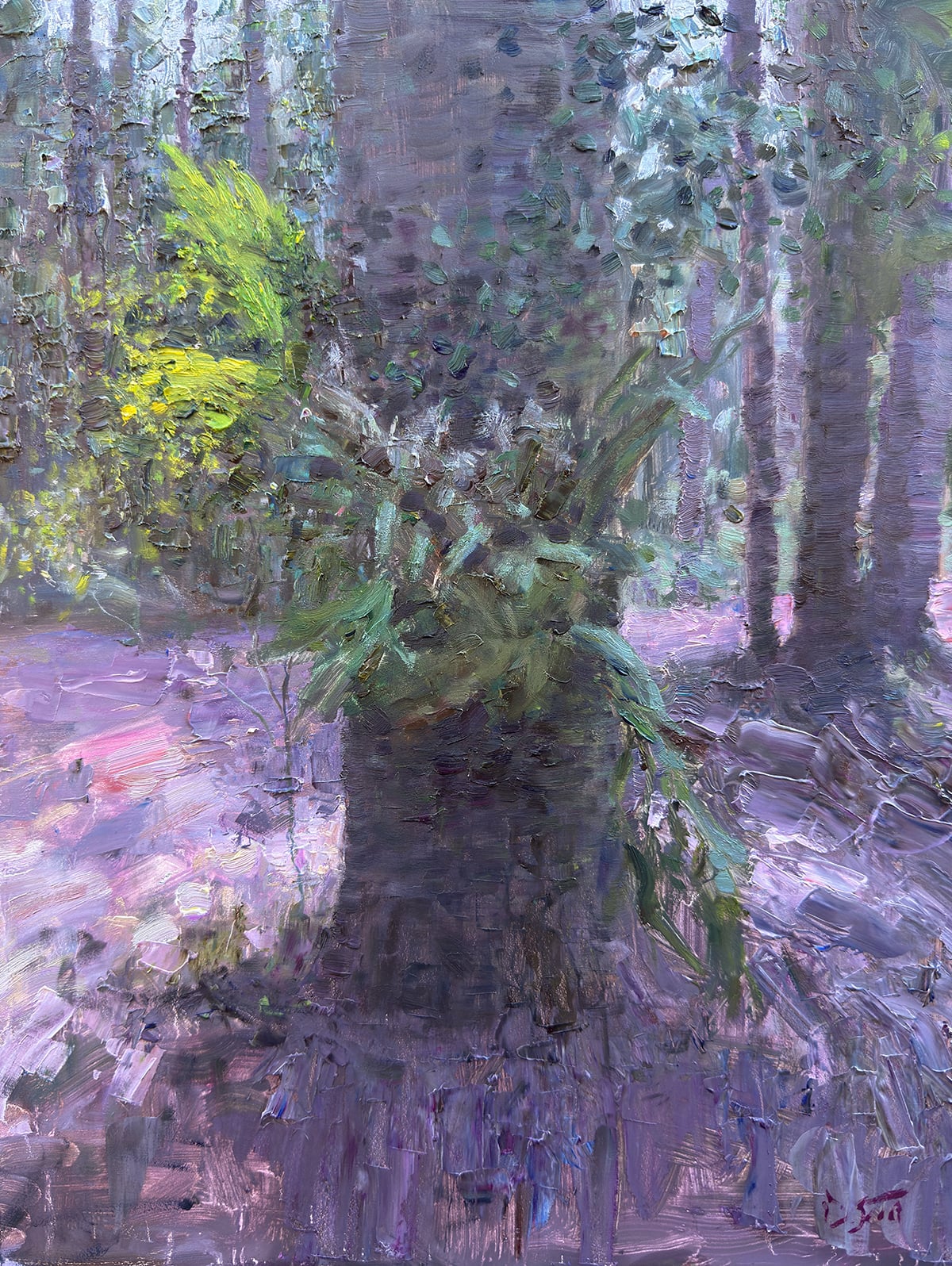 Dan Scott, K'Gari Ferns, 2026