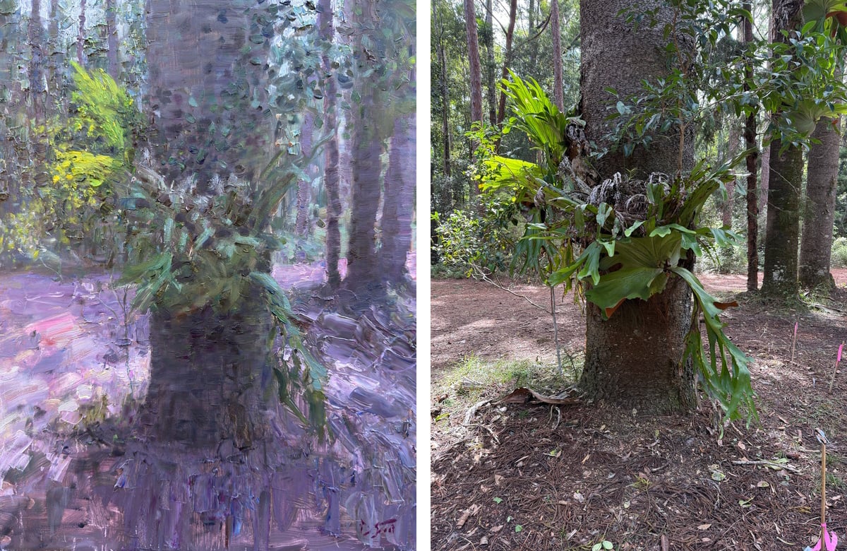 Dan Scott, K'Gari Ferns, 2026, Side by Side