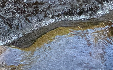 Dan Scott, Upper Portals, Mount Barney, Detail 2, 2026