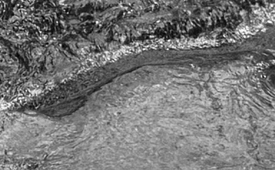 Dan Scott, Upper Portals, Mount Barney, Detail Grayscale, 2026