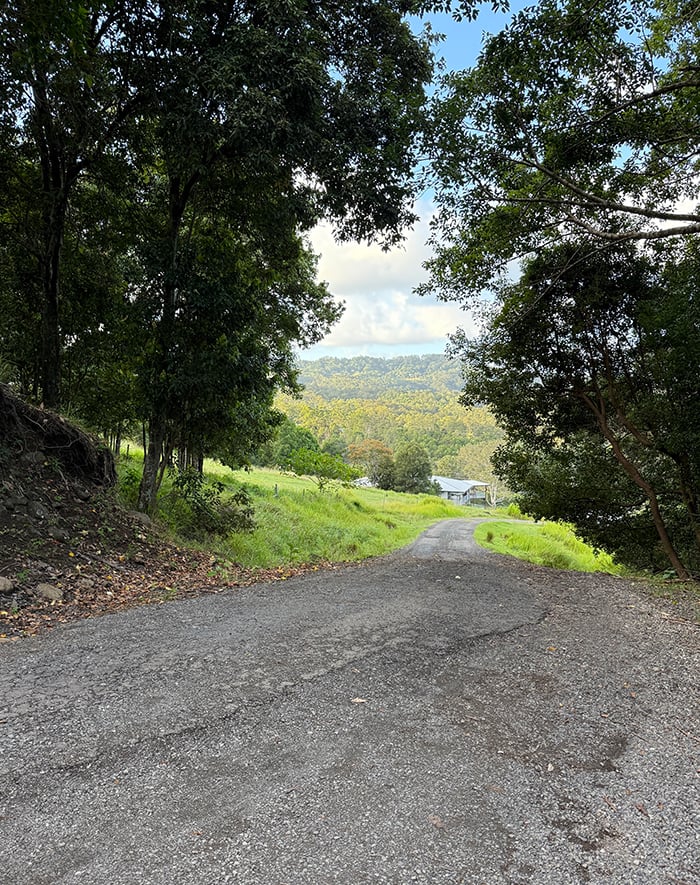 Dan Scott, Montville, Road Out, 2026, Reference Photo, 700W